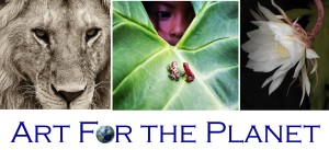 Art for the planet postcrd